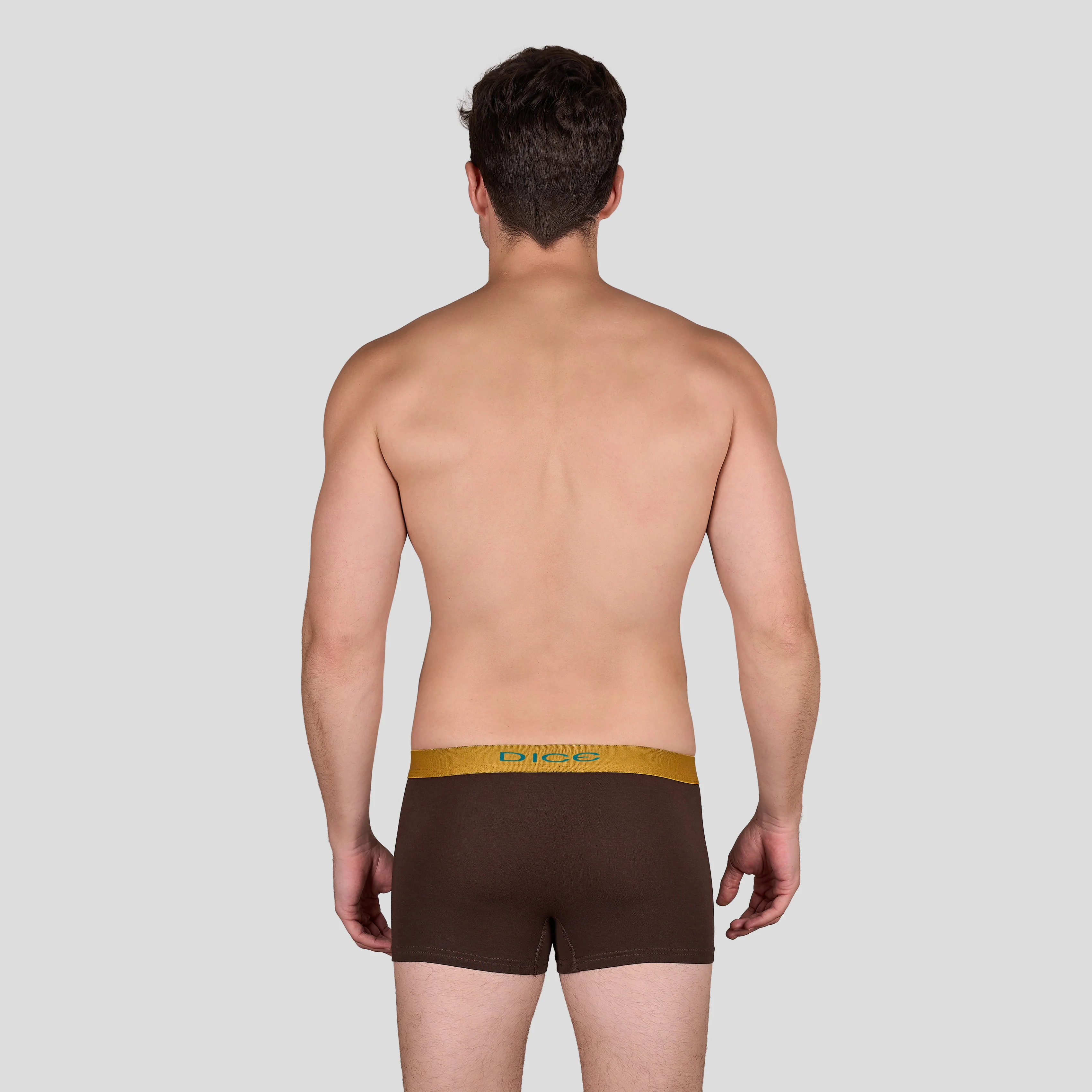 Plain Boxer - Image 15