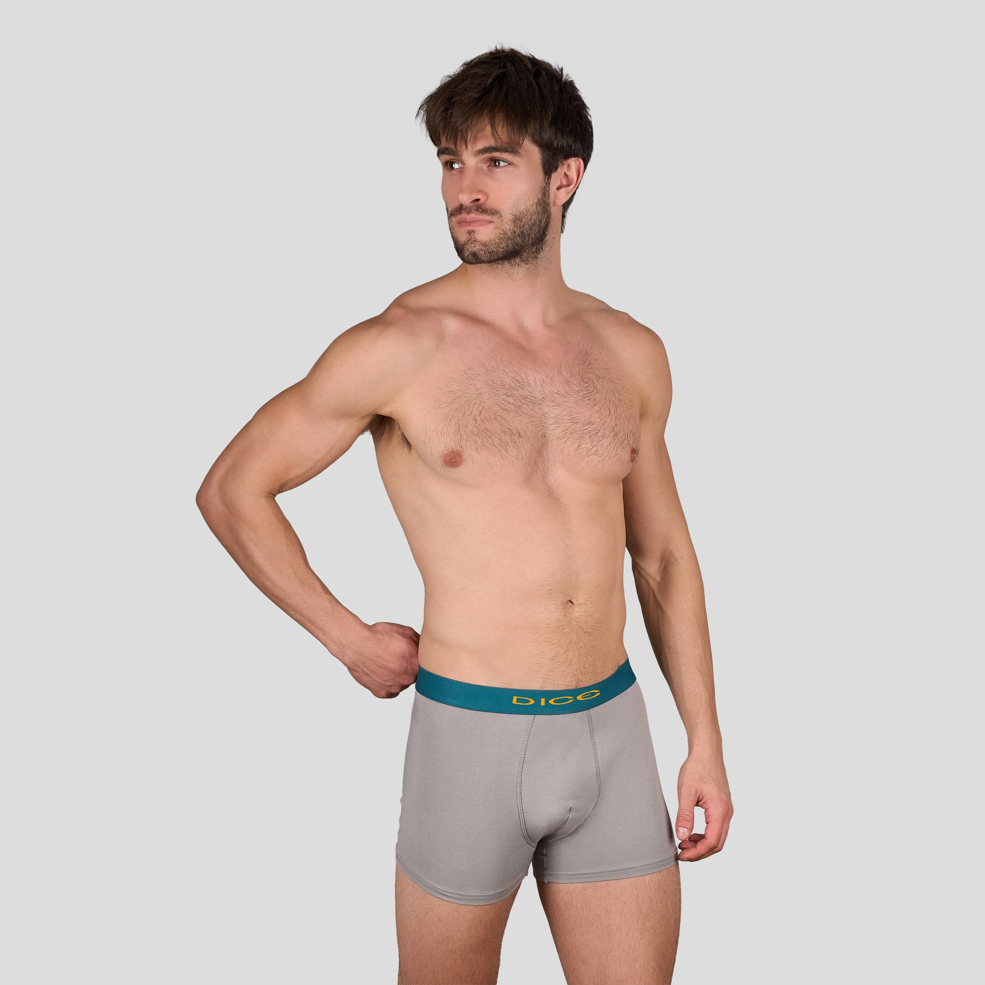 Plain Boxer - Image 23