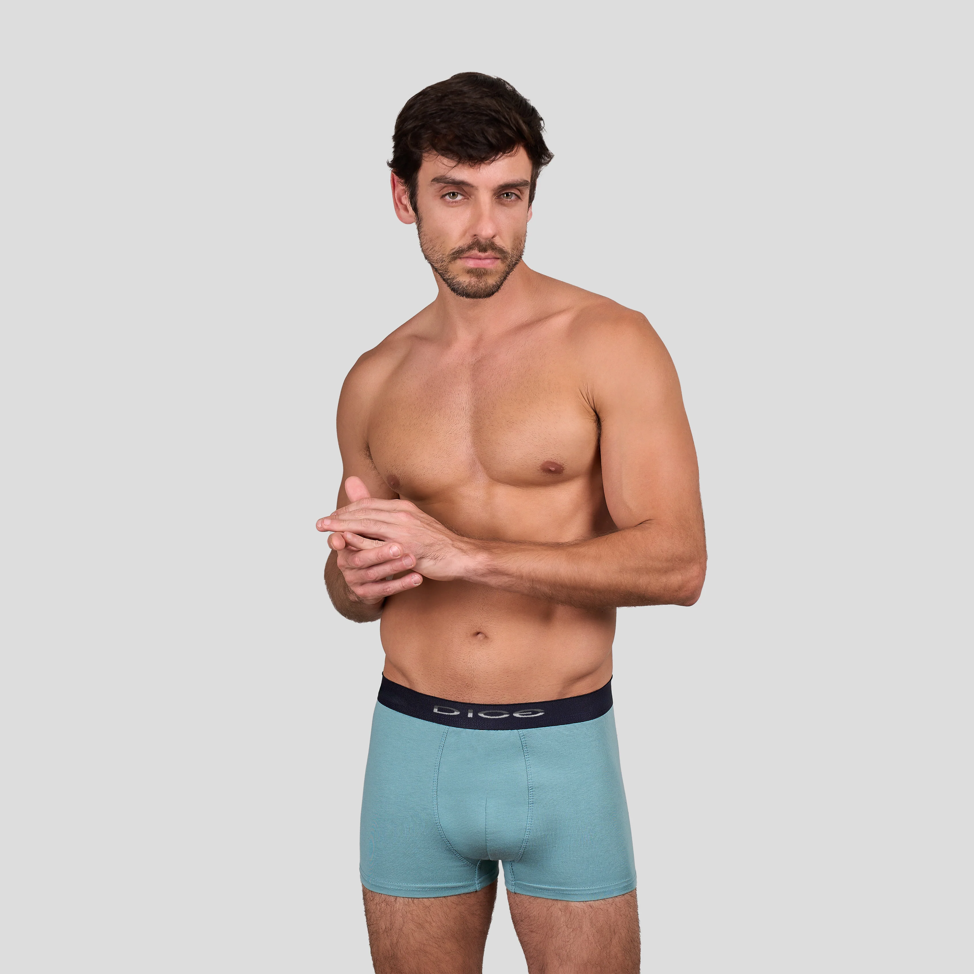 Plain Boxer - Image 30